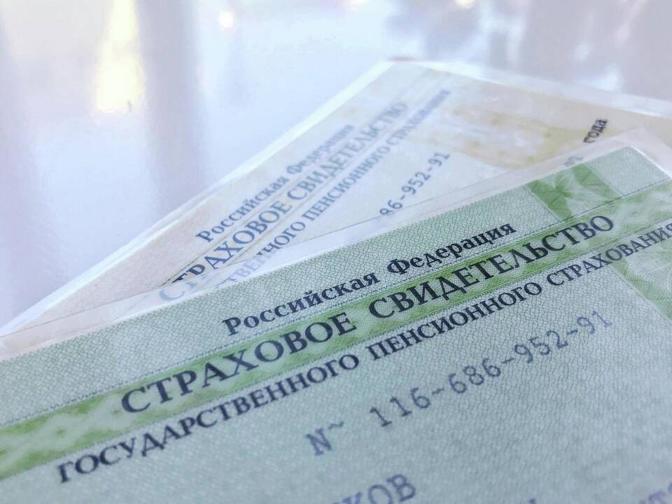Что можно узнать по номеру СНИЛС