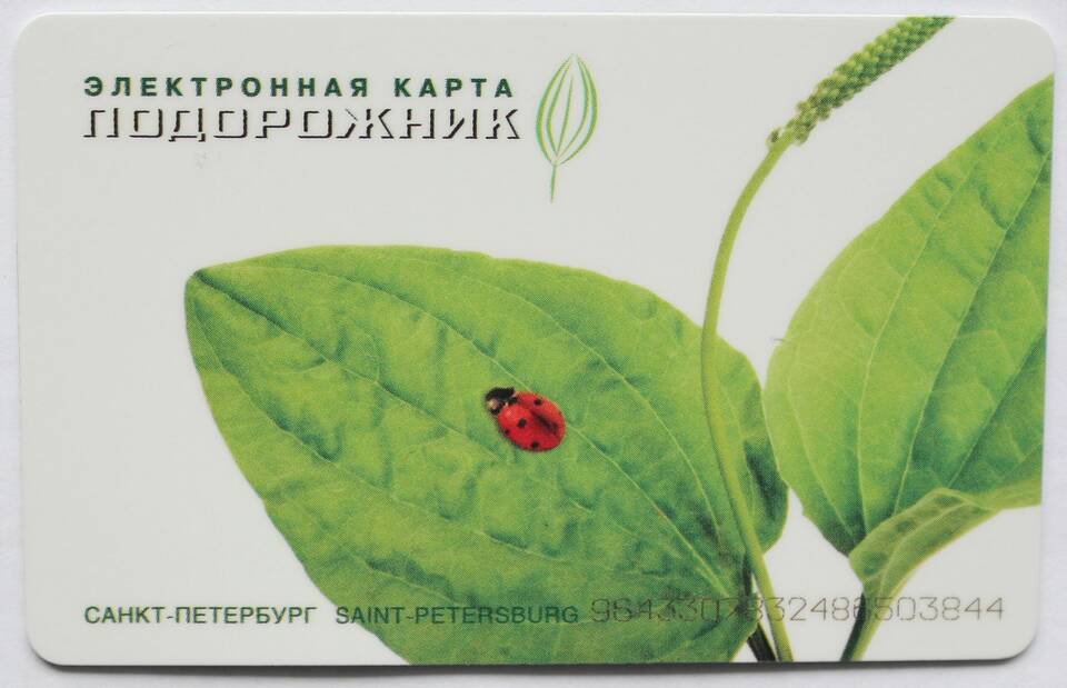 Что оплачивает карта «Подорожник»: возможности и преимущества