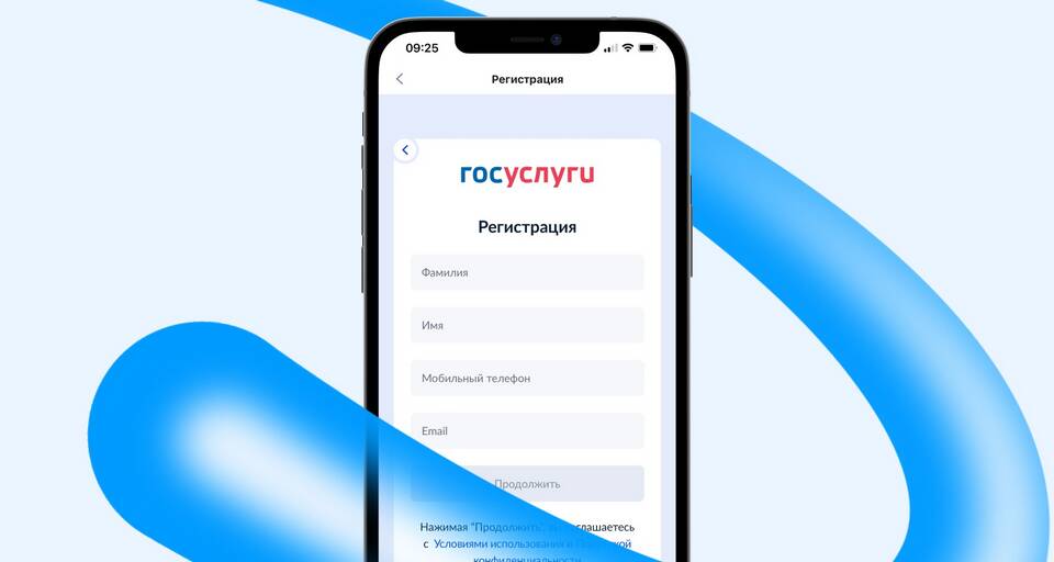 Как подать запрос через портал Госуслуги