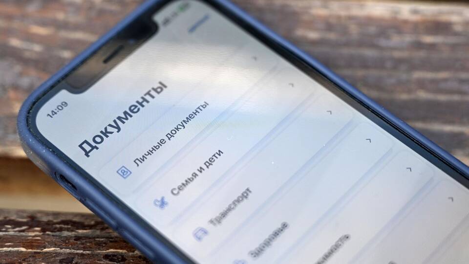 Как получить вход на Госуслуги