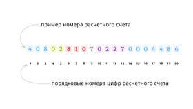 Где найти номер счета в Тинькофф в Swatch