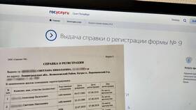 Как найти и заказать справку на Госуслугах в Swatch