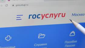 Как подать апелляцию через портал Госуслуги в Swatch