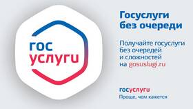 Как получить субсидию через портал Госуслуги в Swatch