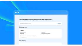 Как узнать выплату ФСС в Swatch