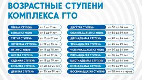 Как войти на сайт ГТО через Госуслуги в Swatch