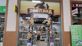 Магазины Леруа Мерлен в Самаре в Swatch