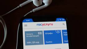 Почему не открывается страница Госуслуг в Swatch