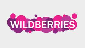 Почему не отправляется вопрос продавцу на Wildberries в Swatch