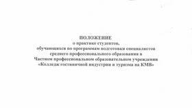 Справка о прохождении практики: назначение и содержание в Swatch