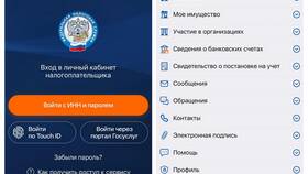 Выписка из реестра налогоплательщиков: что это и для чего нужна в Swatch